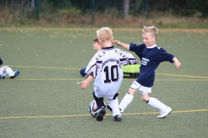 10379347_695490250488827_960313241_n